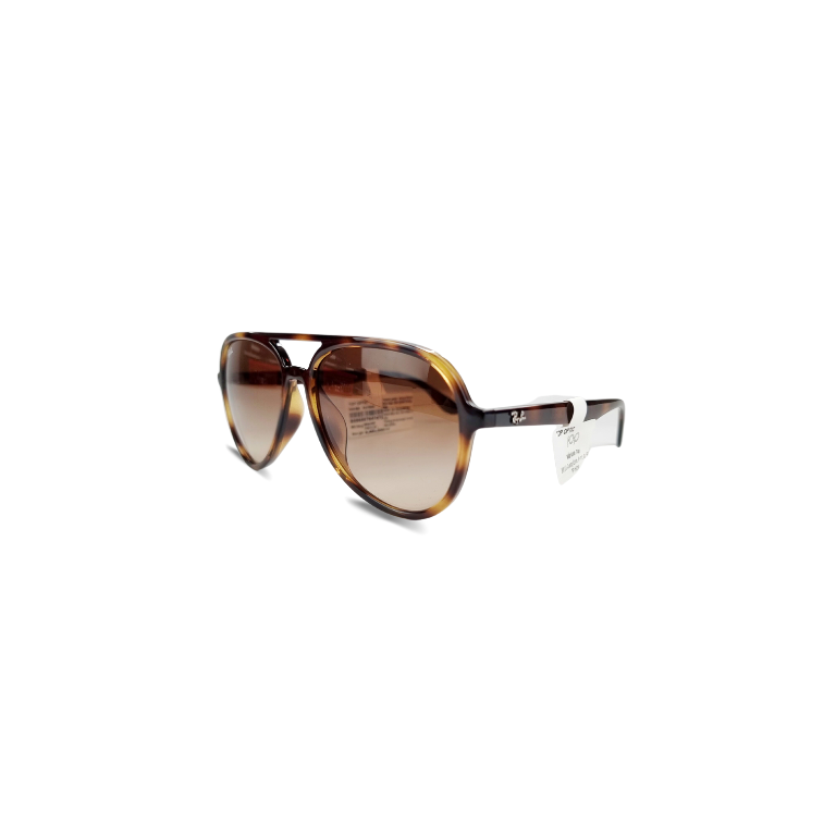 Alternative view of RAYBAN CHÍNH HÃNG 0RB4376F